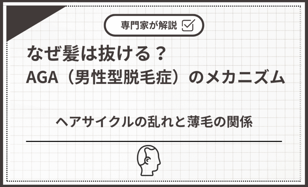 ヘアサイクルの乱れと薄毛の関係