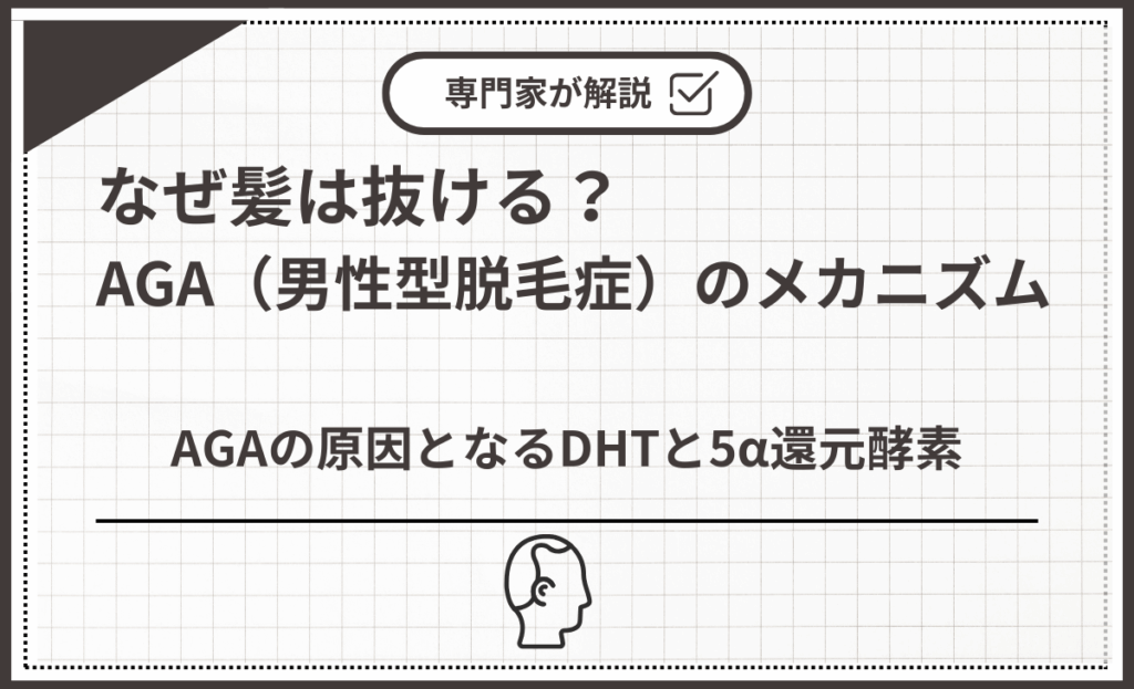 AGAの原因となるDHTと5α還元酵素