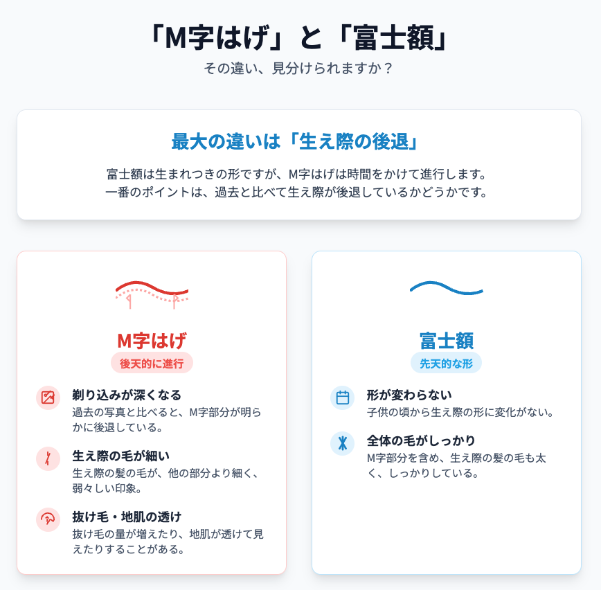 生まれつきの富士額（ふじびたい）とM字はげの違いを表したイラスト画像