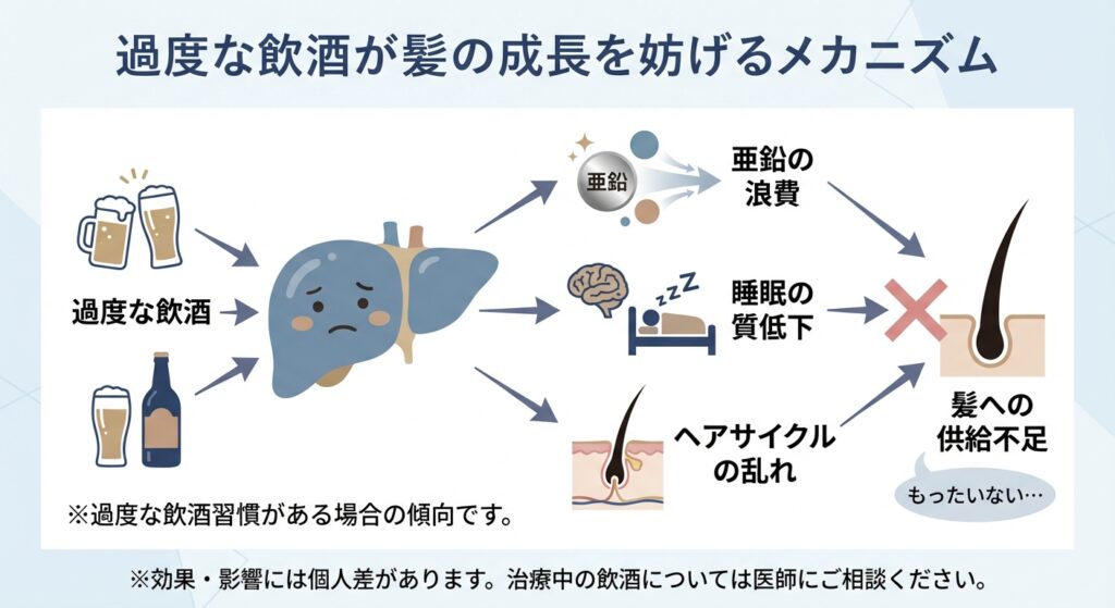 過度な飲酒が髪の成長を妨げるメカニズム