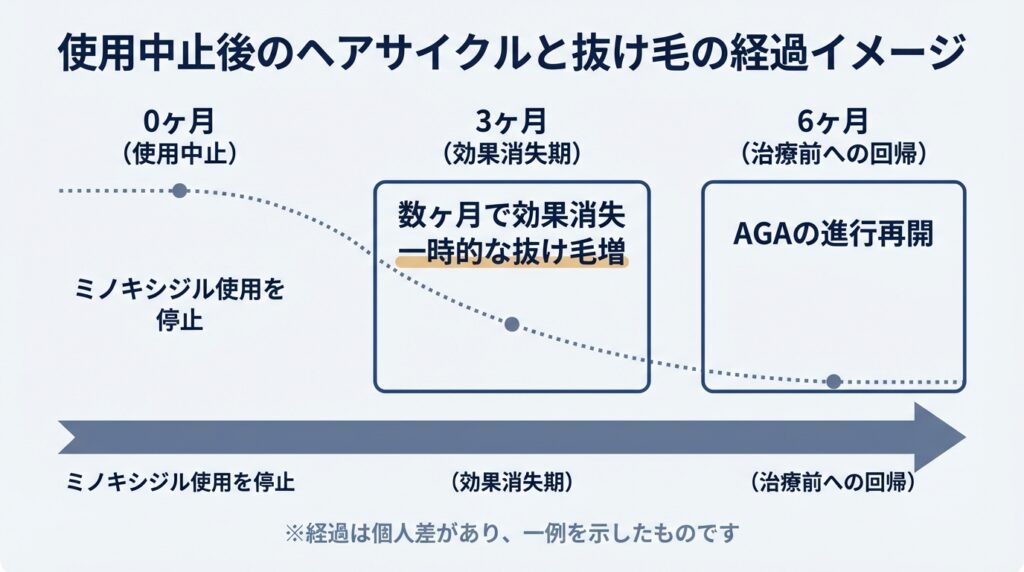 使用中止後のヘアサイクルと抜け毛の経過イメージ