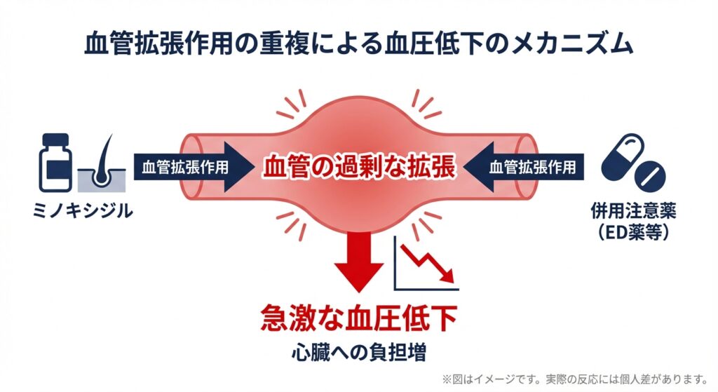 血管拡張作用の重複による血圧低下のメカニズム
