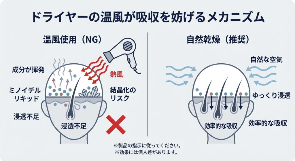 ドライヤーの温風が吸収を妨げるメカニズム