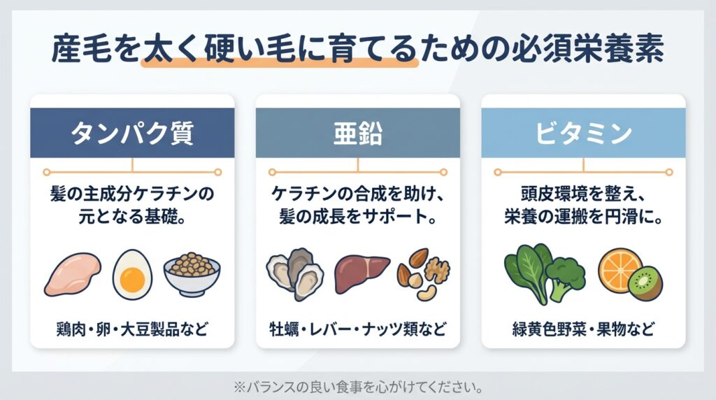 産毛を太く硬い毛に育てるための必須栄養素