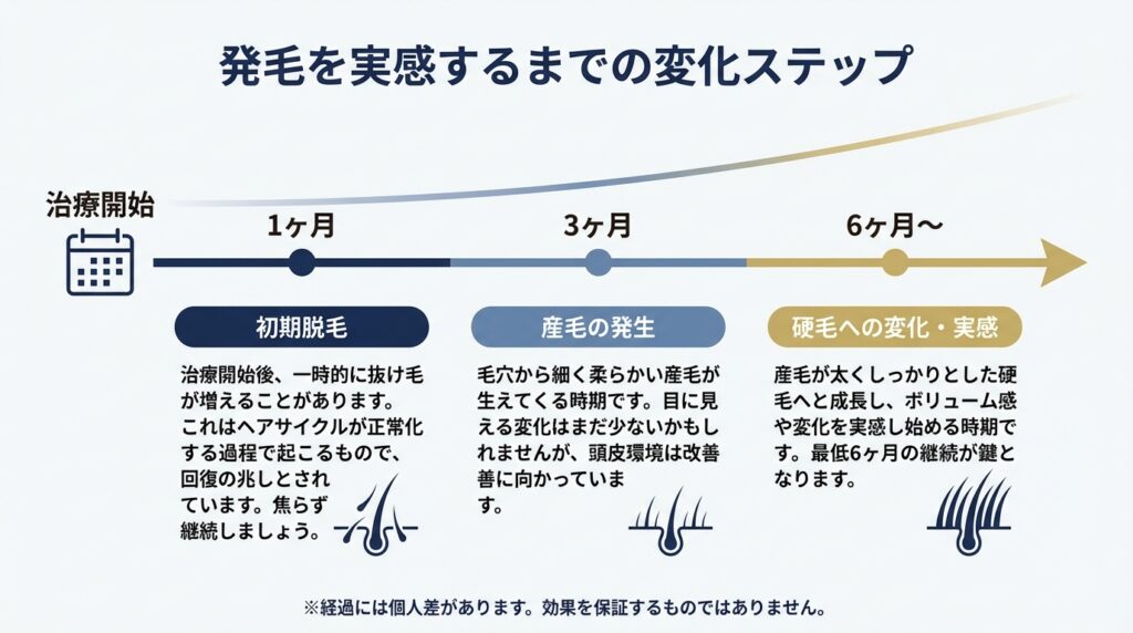 発毛を実感するまでの変化ステップ