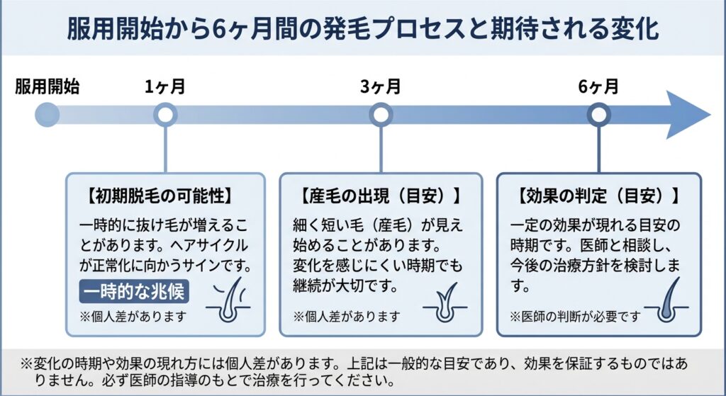 服用開始から6ヶ月間の発毛プロセスと期待される変化