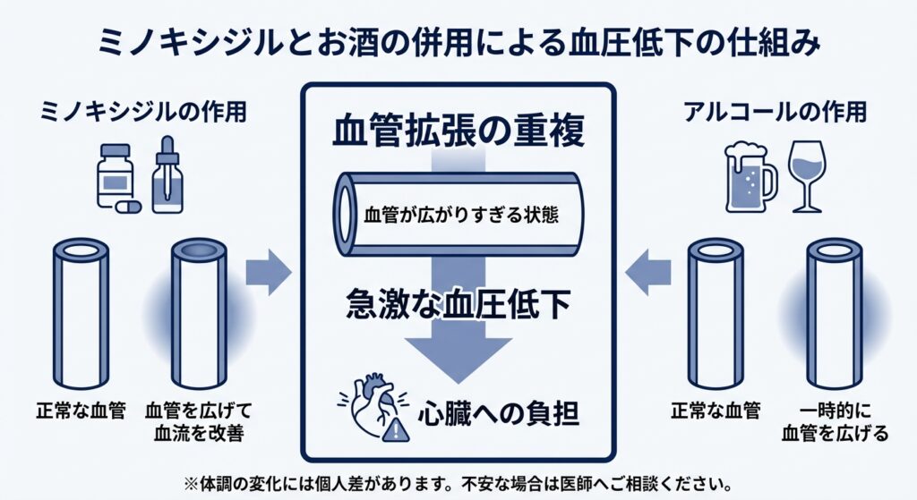 ミノキシジルとお酒の併用による血圧低下の仕組み