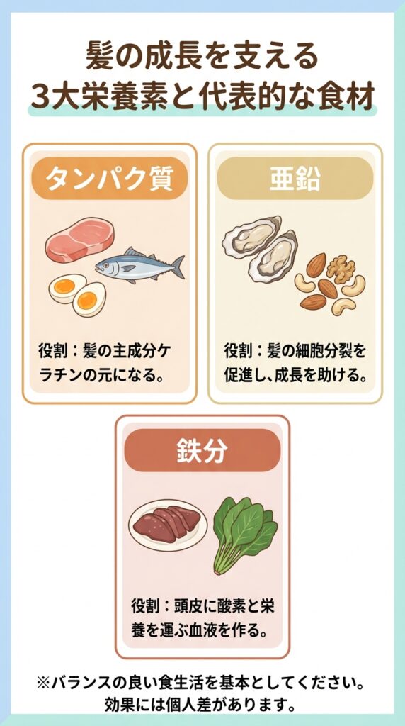 髪の成長を支える3大栄養素と代表的な食材