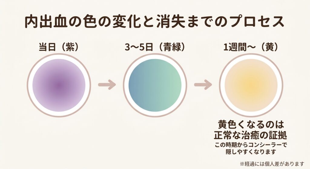 出血は1週間から2週間で紫から黄色に
