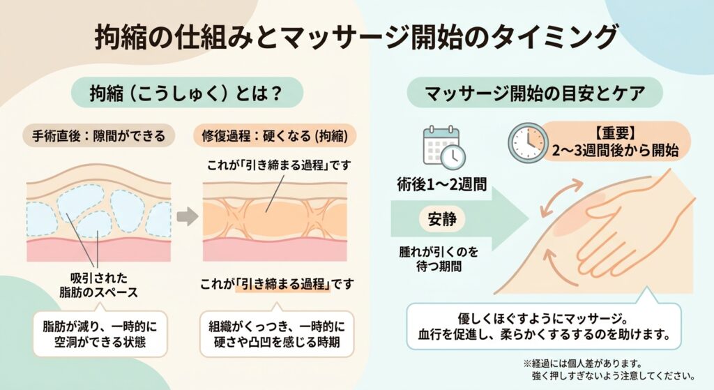拘縮の仕組みとマッサージ開始のタイミング