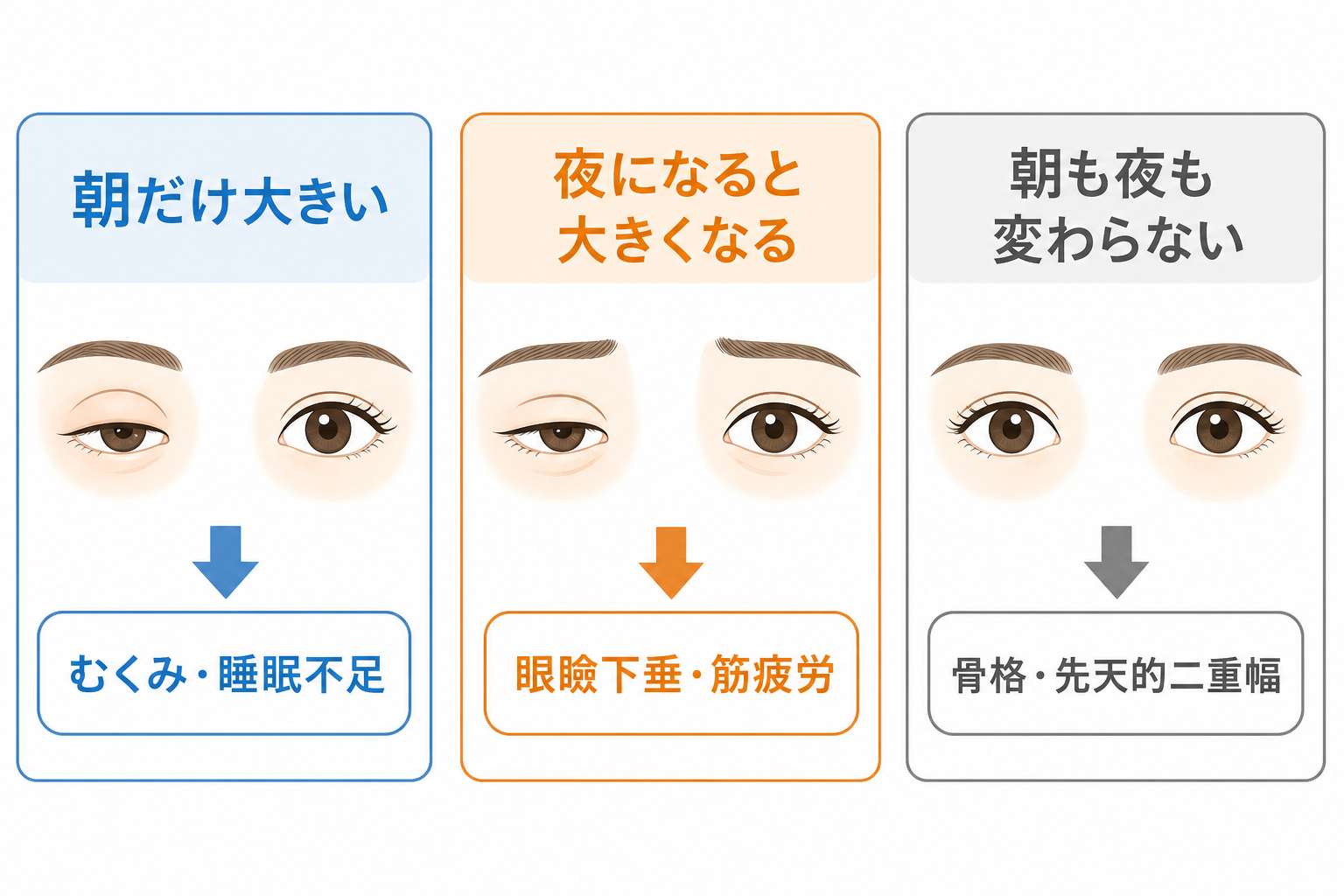 朝と夜で左右差が変わるか確認する